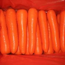 high-quality fresh carrot