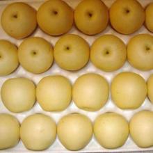 high-quality fresh pear