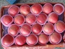 red star apple/ fresh apple/yantai apple/ apple