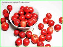 Hawthorn berry extract