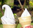 High fat non dairy creamer