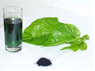 sodium copper chlorophyllin