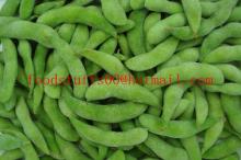 wholesale frozen soybean
