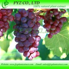 grape seed extract