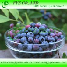 bilberry extract