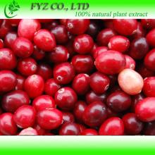 cranberry extract