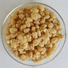 Textured soy protein--YL02
