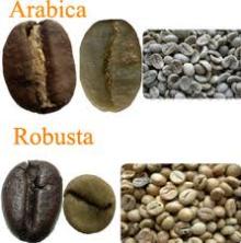 Arabica Green Coffee beans