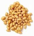 FRESH SOYABEANS
