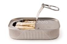 QUALITY SARDINE IN BRINE 125GR