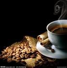  Coffee   creamer   bulk 
