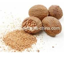  Nutmeg   Seed  Essential Oil