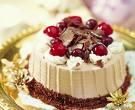Whipped topping creamer N50