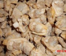 frozen short necked clam meat