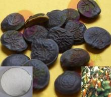 10%- 99% 5-hydroxytryptophan plant extract