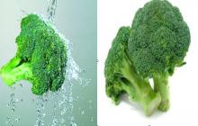 10%, 20:1, 50:1 Broccoli plant extrac