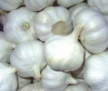 Fresh Garlic.