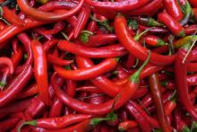 Dry and Fresh India Red Chilli