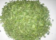 Moringa Leaves