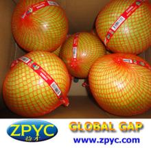 Fresh sweet pinghe pomelo