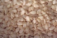 ORGANIC SESAME SEEDS FOR SALE