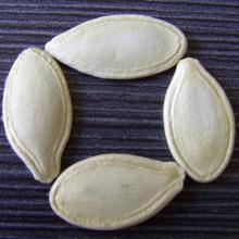 Edible Shine Skin Pumpkin Seeds,2012 Crop