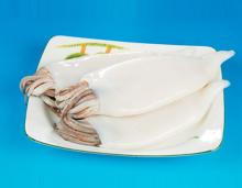  frozen   squid   tube  and  tentacle 
