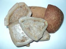  Coconut   Copra 