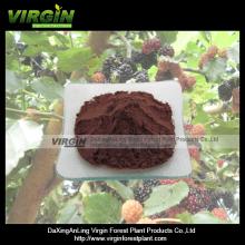  Mulberry   Extract 
