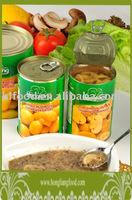 high quality  fresh   canned  mushroom