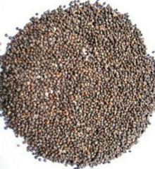 Alcon perilla seed