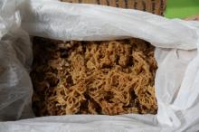 Dried irish moss