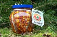 HOT ANCHOVIES