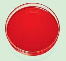 capsaicin 150E
