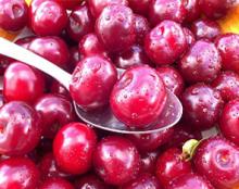 the best Sourcherry juice concentrate