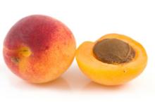 Selling  apricot   juice  puree