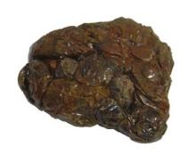 natural bee crude propolis