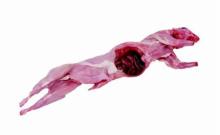 Frozen rabbit meat