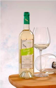 Spanish White Wine. Designation of Origin