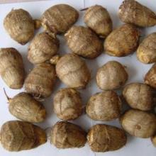 Fresh Taro