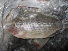 Tilapia--Frozen Tilapia Gutted&Scaled