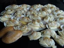buffer clam Japanese and USA level