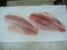  Nile  perch fillets