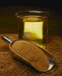 Soybean oil