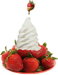 ICYWHIPP  NON   DAIRY   WHIPPING   CREAM  POWDER