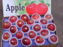 Fresh red star Apple