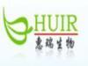 Burdock Root Extract
