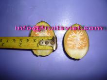 Frozen betel nut