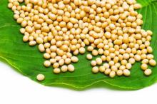 SOYA PROTEIN ISOLATE