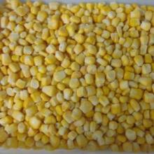 iqf frozen sweet corn